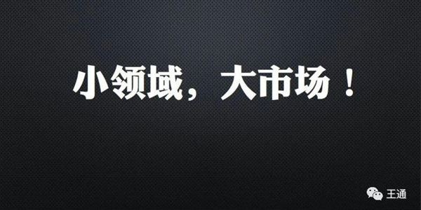 细分领域赚钱课：王通取名技能课 百度网盘下载