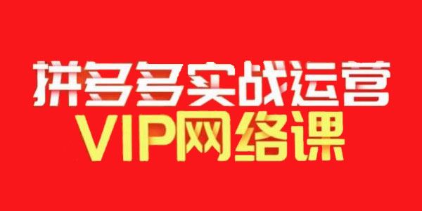 推易拼多多VIP电商课：店铺实操、选款、直通车等 百度网盘下载