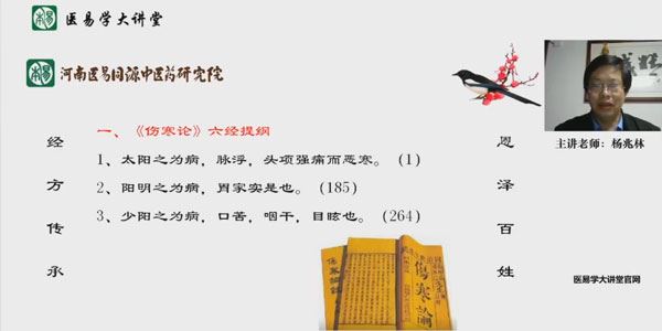 医易学大讲堂杨兆林 伤寒杂病论