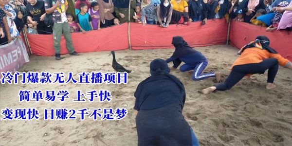 简单易学冷门爆款无人直播项目