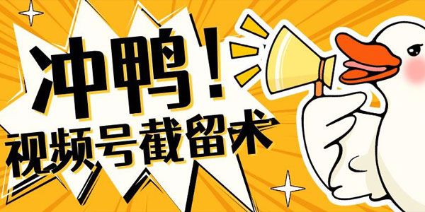 视频号无限截留术：鲜有人知的流量高地 百度网盘下载