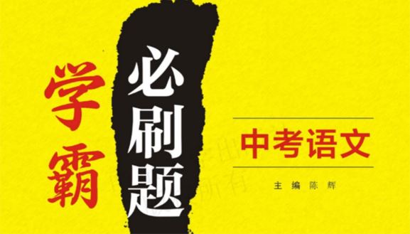 中考语文学霸必刷题电子文档含答案
