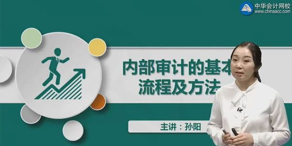 中华会计网校孙阳 内部审计方法及流程