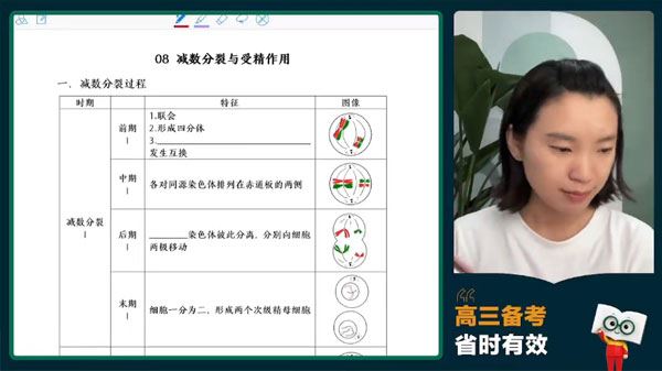 毛慧 2024届高考高三生物2023年暑假班