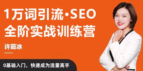许茹冰《万词引流：SEO全阶实战训练营》