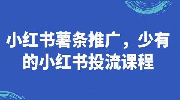 小红书薯条推广：小红书精品投流课程