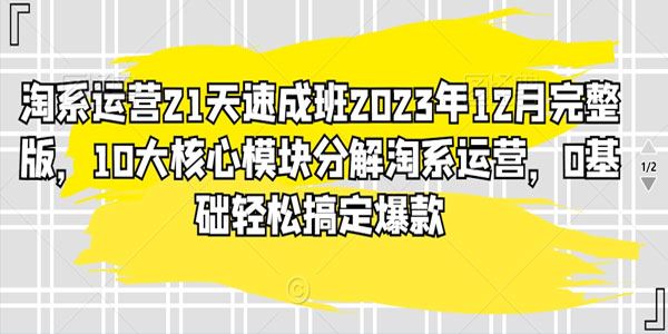 淘系运营21天速成班：淘系运营十大核心模块