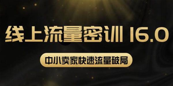 秋秋 线上流量密训16.0中小卖家快速流量破局