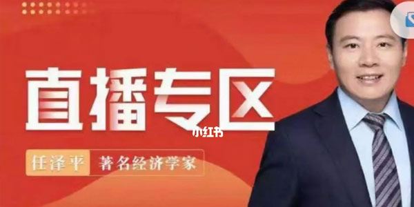 泽平宏观直播《经济、政策和资本市场展望》