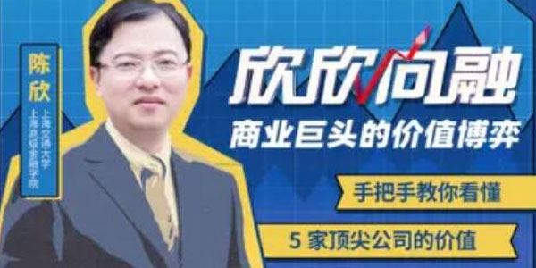 陈欣 欣欣向融：商业巨头的价值博弈