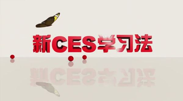 初中语文CES学习方法