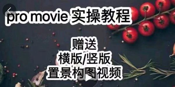 漆十二美食摄影25​节promovie实操高手课