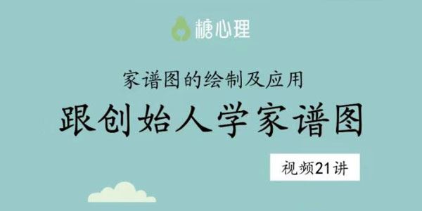 糖心理《跟创始人学家谱图：家谱图的绘制及应用》 百度网盘下载