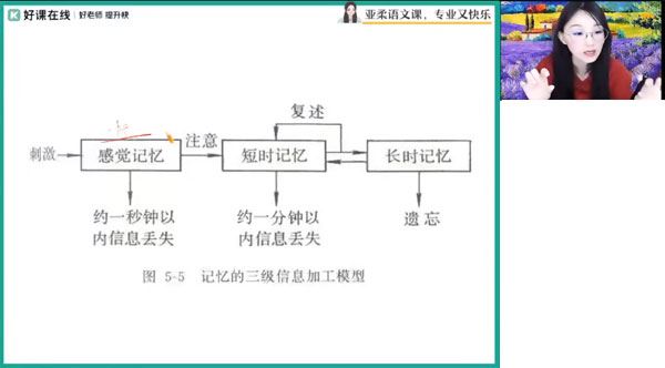 张亚柔 高一语文2024年寒假班