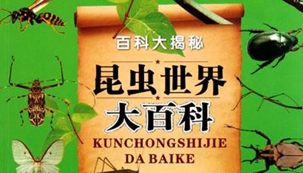 DK昆虫世界百科:鲜为人熟知的昆虫世界