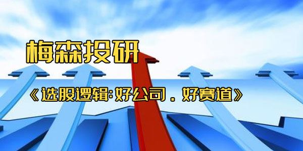 梅森投研 选股逻辑:好公司·好赛道[课件]