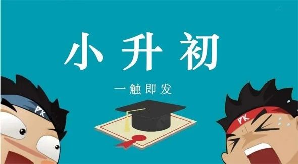 小学小升初总复习知识清单电子文档