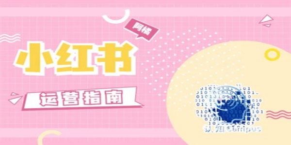 小红书运营指南，没有套路全是干货经验