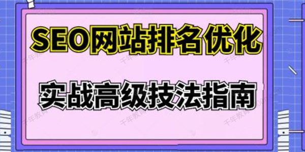 樊天华 SEO网站排名优化实战高级技法指南