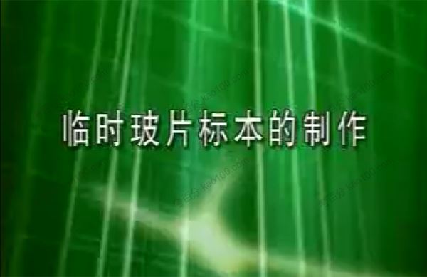 初中生物实验视频[课件]