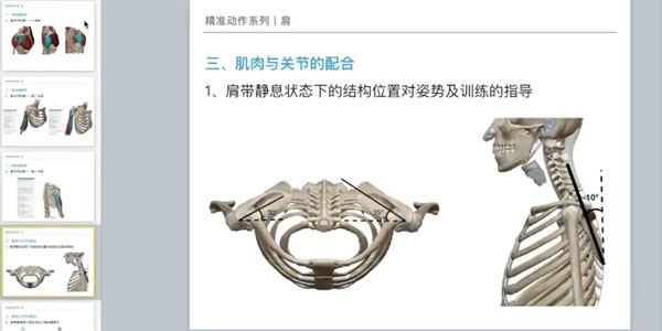 麦大湿 精准动作肩部训练课