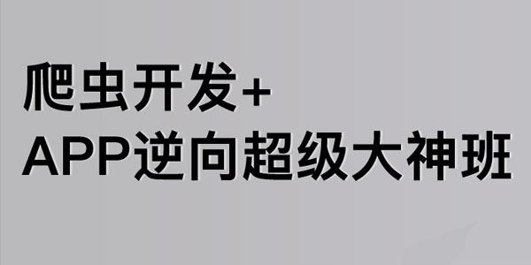 路飞学城爬虫开发+APP逆向大神班第三期