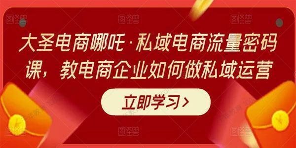 大圣电商哪吒 电商企业私域电商流量密码课