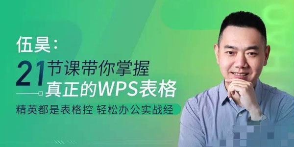 伍昊WPS表格零基础教程21节课带你掌握WPS表格