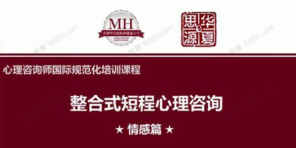 张道龙心理咨询师国际规范化培训（真实个案与解析）[课件]