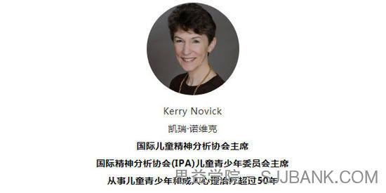 Novick-父母工作与儿童和青少年个体化治疗从理论到临床实例解析