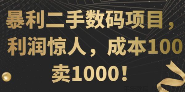 利润惊人的暴利二手数码项目成本100卖1000