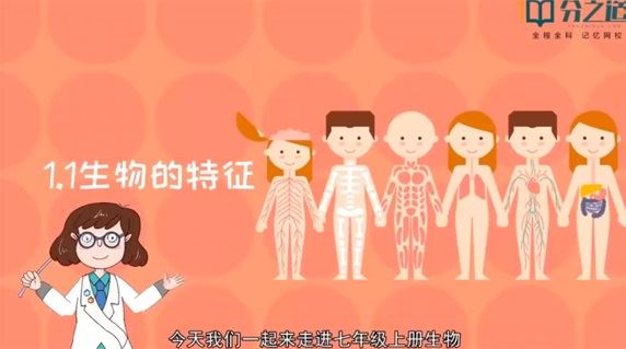 分之道 七年级初一生物上册动画课 百度网盘下载
