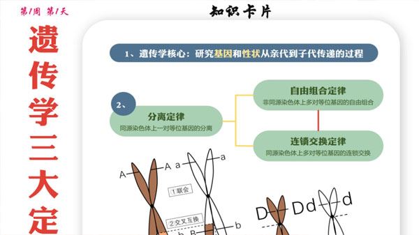 2024届高考高三各科梦想点当铺课件合集