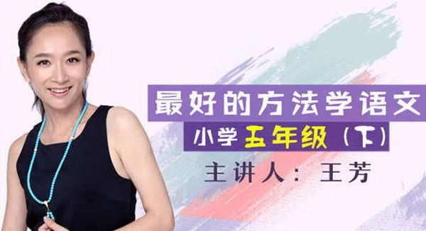 王芳大语文中文素养课 五年级语文下册部编版