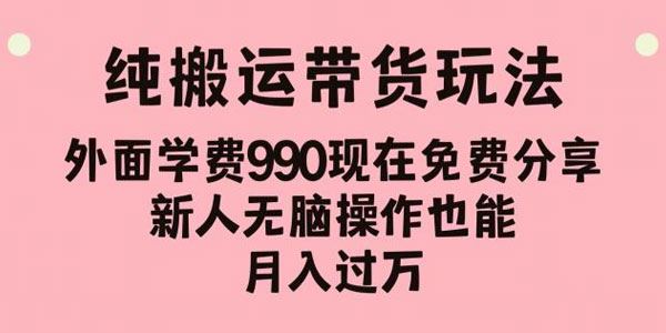 新人无脑操作纯搬运带货玩法 百度网盘下载