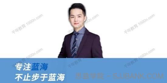《蓝海店群从零到月入万元》详细实操拆解