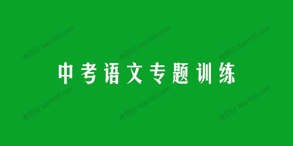 中考语文专题训练古诗词鉴赏名篇48份含答案解析[课件]