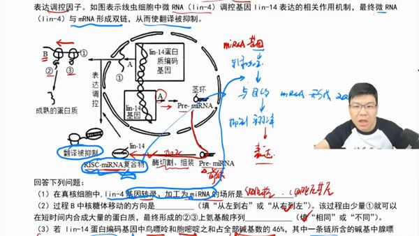 万猛 2024届高考高三生物二轮2024寒假班