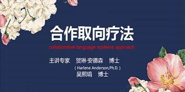 贺琳·安德森&吴熙娟 精解合作取向疗法 百度网盘下载