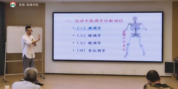 原海旺系列课：筋膜解剖与临床应用