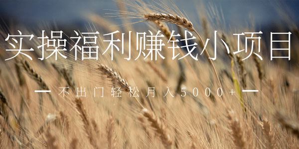 柚子网赚副业实操赚钱小项目,足不出门轻松月入5000+