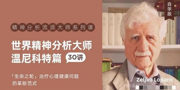 世界精神分析大师系列课：温尼科特篇视频课