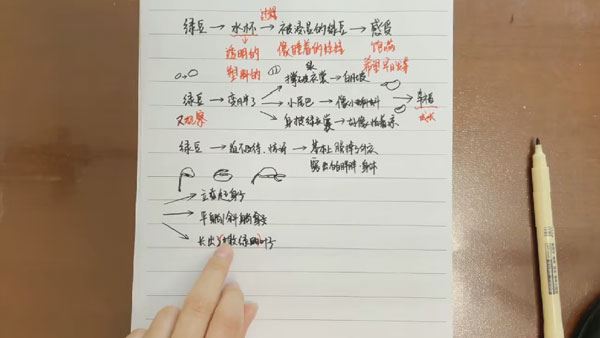 文老师作文课 四年级语文同步单元习作