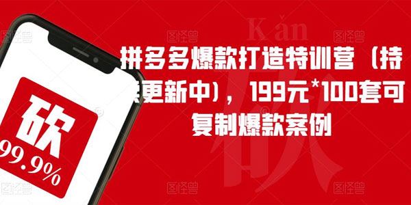 拼多多爆款打造特训营：100套可复制爆款案例 百度网盘下载