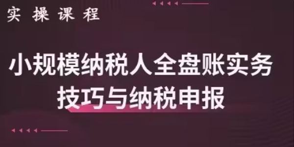 胡静宏 小规模纳税人全盘真帐实操：账务处理及纳税申报