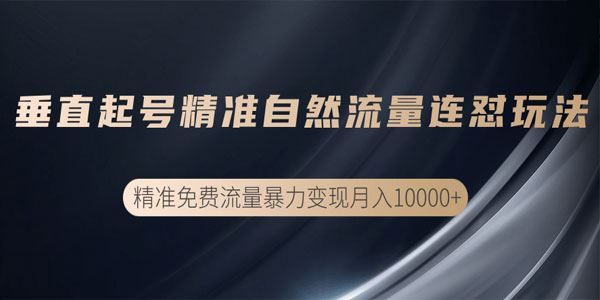 垂直起号精准自然流量连爆玩法,精准引流暴力变现