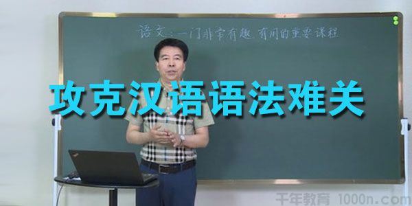 王芳大语文杨长胜攻克汉语语法难关