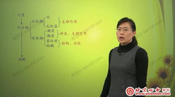 北京四中网校毕诗秀高三生物同步辅导[课件]
