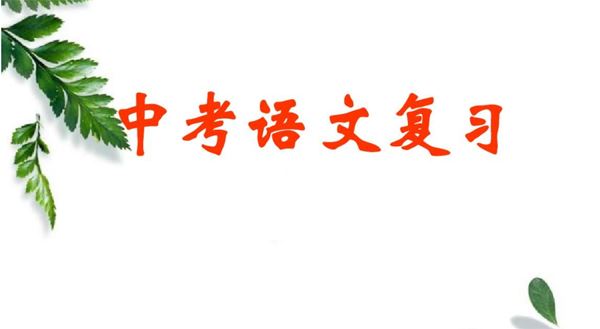 中考语文专题复习资料含真题汇编