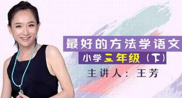 王芳大语文中文素养课 三年级语文下册部编版